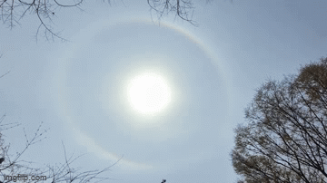 Clip: Xuất hiện vòng tròn sáng bao quanh mặt trời ở Trung Quốc